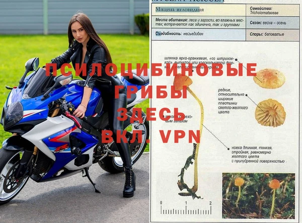 герыч Абинск