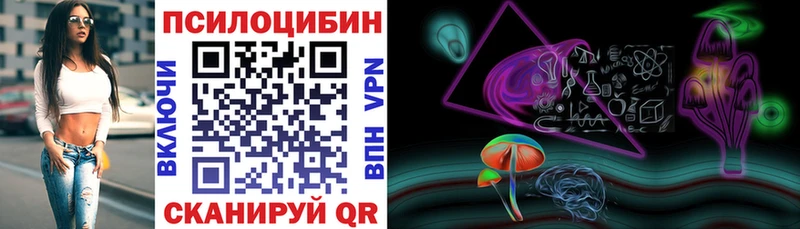 Псилоцибиновые грибы Psilocybe  Клинцы 