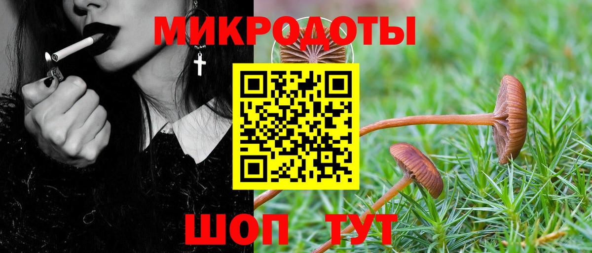 Галлюциногенные грибы Magic Shrooms Клинцы