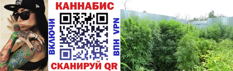 Шишки марихуана план  Клинцы 